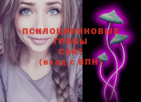 стаф Абинск