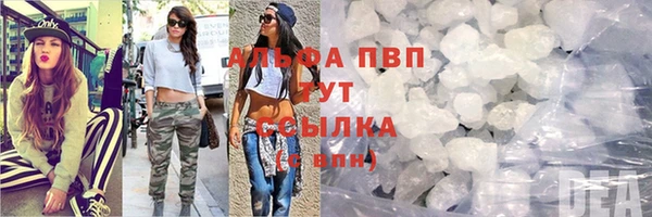 стаф Абинск