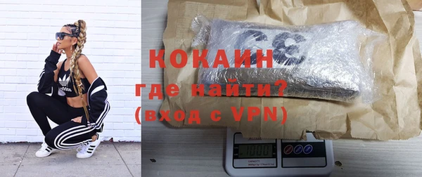 стаф Абинск
